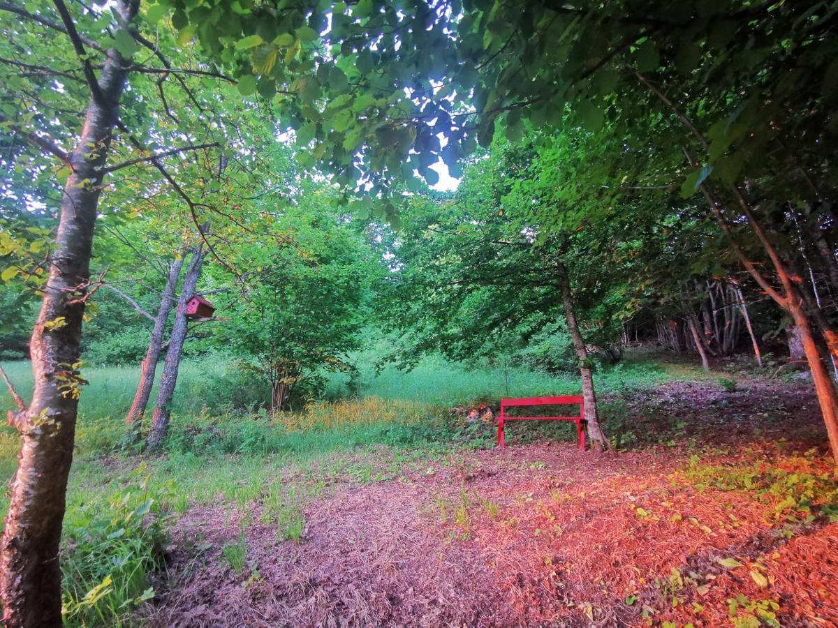 Holiday Home La Sierra Korenica Zewnętrze zdjęcie